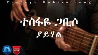 Tesfaye Gabiso ያይሃል  YAYIHAL  በግጥም  ተስፋዬ ጋቢሶ  Lyrics 2023 Official Video [upl. by Agripina61]