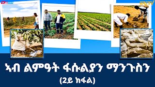 ከርከበት፡ ኣብ ልምዓት ፋሱልያን ማንጉስን 2ይ ክፋል  መኣዝን ልምዓት  ERiTV [upl. by Lilithe393]