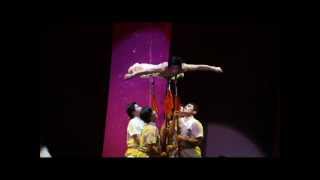 The Peking Acrobats® in 30 Seconds [upl. by Aitekram]