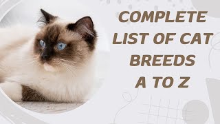 Complete List of Cat Breeds A to Z [upl. by Dilan387]