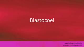 Pronunciation of the words quotBlastocoelquot [upl. by Coralie]