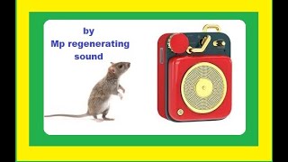 highpitched sound that disorients and scares away mice [upl. by Lebna]