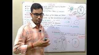 Coelom Types and Formation [upl. by Candide]