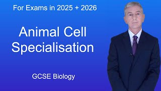 GCSE Biology Revision quotAnimal Cell Specialisationquot [upl. by Chrotoem]