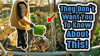 They Dont Want You To Know About This AMAZING Gardening Hack For Watering amp Fertilizing Your Garden [upl. by Livvie]