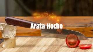 Arata Hocho Schnittest [upl. by Ohs]