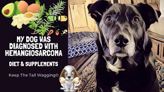 Hemangiosarcoma Diet and Supplement Protocol for My Dog [upl. by Niko]