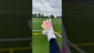 PRO GOALKEEPER TESTS BRAND NEW GLOVES [upl. by Alta]