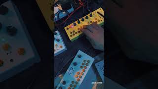 testing critter amp guitari organelle m pocket piano kaleidoloop bolsa bass [upl. by Gosney]