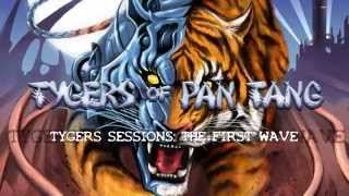 TYGERS OF PAN TANG quotGanglandquot OFFICIAL [upl. by Anovahs]