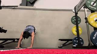 Wall plank lateral walks [upl. by Rothschild]