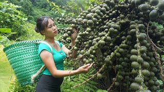 Harvesting wild fruit go to the village to sell  Green forest life free bushcraft [upl. by Zoellick]