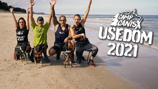 Camp Canis Island Usedom  Official Trailer 2021 [upl. by Ecinnej306]