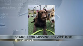 Veteran Loses Service Dog After Crash in Southern Illinois [upl. by Ynattib]