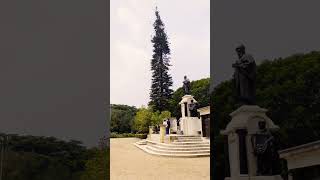 The Indian Institute of Science IISc  Bangalore  bengaluru iisc greenery bangalore [upl. by Acinoreb32]