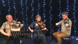 Live Performance on 3 JAY 3DPrinted violins  Dawlish Assembly April 2024 [upl. by Anitsirhc430]