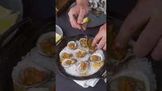 Delicious Oysters Cooked in Pizza Oven cooking [upl. by Orpah]