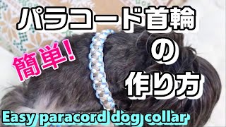 【ペット用品】パラコードで愛犬に首輪を手作り！【paracord】【犬用品】【dog collar】 [upl. by Laroy511]