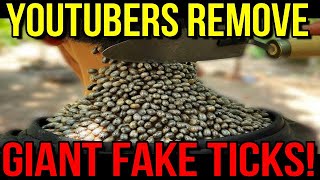 Youtubers Fake Removing Giant Ticks [upl. by Haerb]