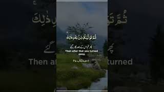 Than after that you turned away  Allah ka Quran ko share karo subcribe My chanel AliBro1114 [upl. by Mendez]