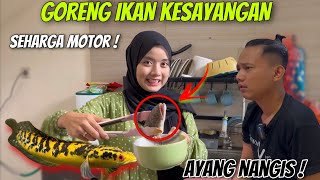 PR4NK  IKAN KESAYANGAN SEHARGA MOTOR DI GORENG [upl. by Haase949]