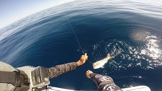 Offshore Fishing From Coffins Bay [upl. by Shaine]