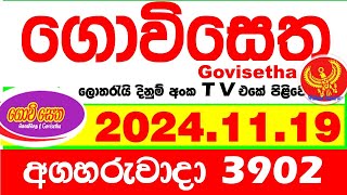 Govisetha 3902 20241119 Today nlb Lottery Result අද ගොවිසෙත දිනුම් ප්‍රතිඵල Lotherai dinum anka [upl. by Haig]