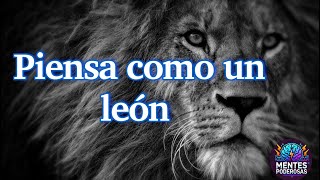 La Mentalidad del León Supera tus Miedos y Lidera con Confianza [upl. by Ewold641]