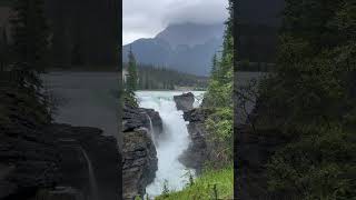 Athabasca Falls Jasper National Park [upl. by Roselle172]