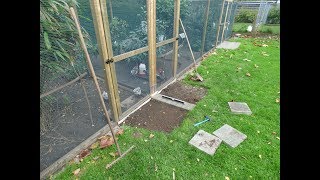 The Process of Building my NEW Chicken run [upl. by Melc642]