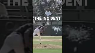 PETA Tried To Sue Randy Johnson For Hitting A Bird [upl. by Ydnarb375]