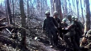 Vietnam War Veteran Tribute Video [upl. by Etnoj]