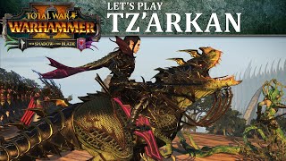 Malus Darkblade Lets Play  Total War WARHAMMER 2  The Shadow amp The Blade [upl. by Carleton]