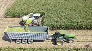 Chopping Corn Silage near Greensburg Indiana [upl. by Akeit157]