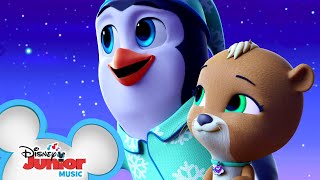 Night Flight 🌟 Music Video  TOTS  Disney Junior [upl. by Yvonner654]