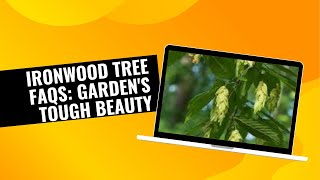 Ironwood Tree FAQs Gardens Tough Beauty [upl. by Joseph]