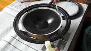 Refoaming an 8 inch woofer [upl. by Aenahs261]