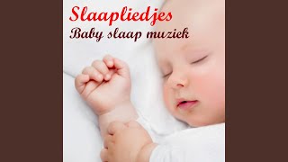 Slaap Kindje Slaap [upl. by Svend]