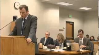 Martin MacNeill Trial Day 1 Part 3 [upl. by Leummas]