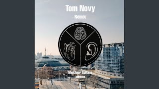 Timeless Tom Novy Remix [upl. by Brom]