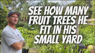 Growing Fruit Trees In Small Spaces [upl. by Matty]