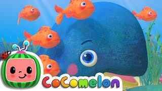 Baby Blue Whale Song  CoComelon Nursery Rhymes amp Kids Songs [upl. by Territus314]