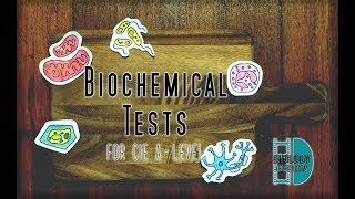 ALevel Biology  Biochemical Tests [upl. by Dott]