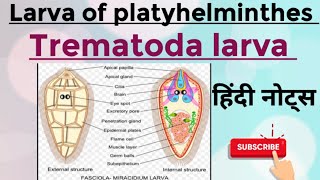 Larva of platyhelminthes Trematoda larva MSc zoology 1st semester Hindi notes [upl. by Googins385]