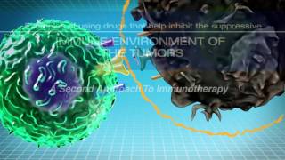 IMMUNOTHERAPY The Path to a Cancer Cure For Clinicians [upl. by Asalocin742]