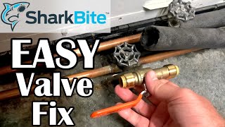 DIY Quick N Easy Leaky Stop Valve Fix with SharkBite Fitting [upl. by Kirby113]