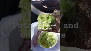 Todays Lunch is Just Guacamole from Torchys food guacamole hungry [upl. by Brownley]