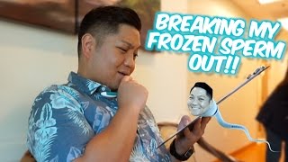 Transferring Frozen Sperm  Hawaii IVF Journey Round 2 [upl. by Siouxie]