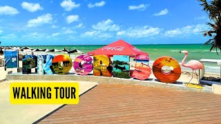 🇲🇽 Beach Walk of Progreso Yucatan Mexico  Spring Break Walking Tour 2024 [upl. by Airehs121]