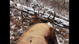 quotOur Huntquot  Once In A Lifetime OR Elk Hunt Part 2 [upl. by Redman]